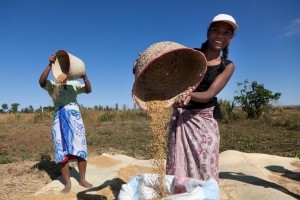 Women with grain © FAO