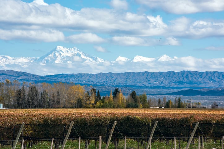 andes-mountains-field-argentina-xeni4ka.jpg