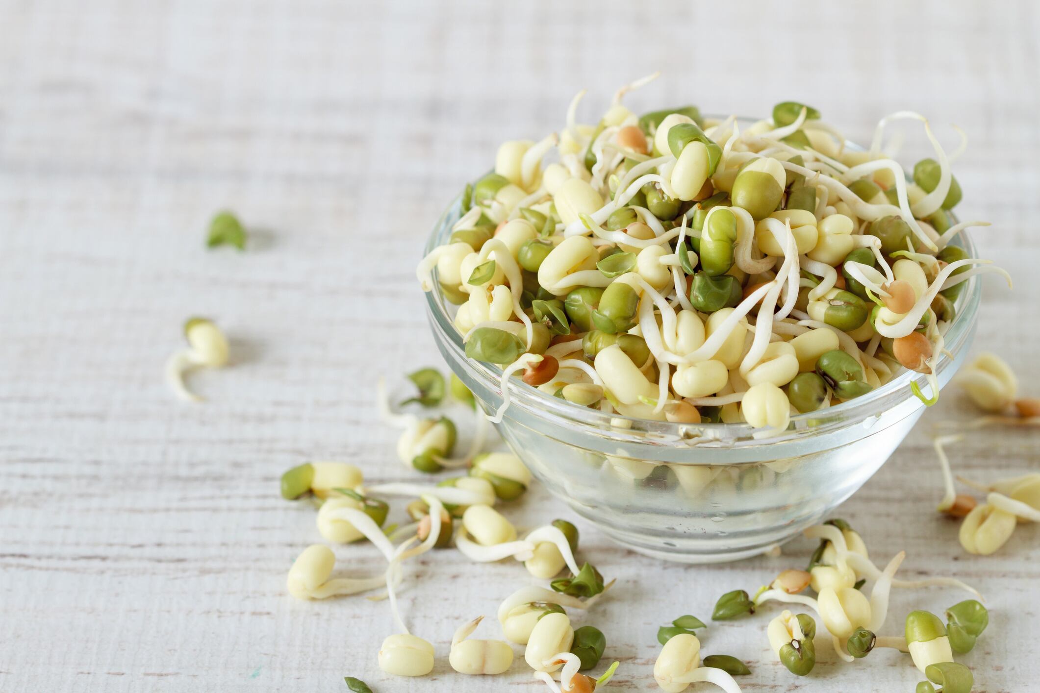 Mung beans may help control cholesterol levels: Brazil study