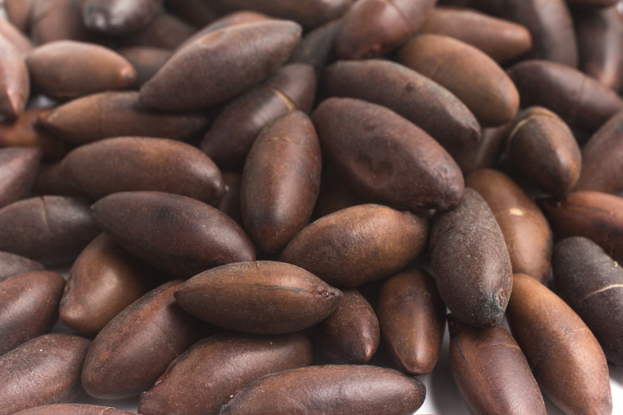 Baru nut consumption may boost antioxidant defenses in obese people: Brazil study