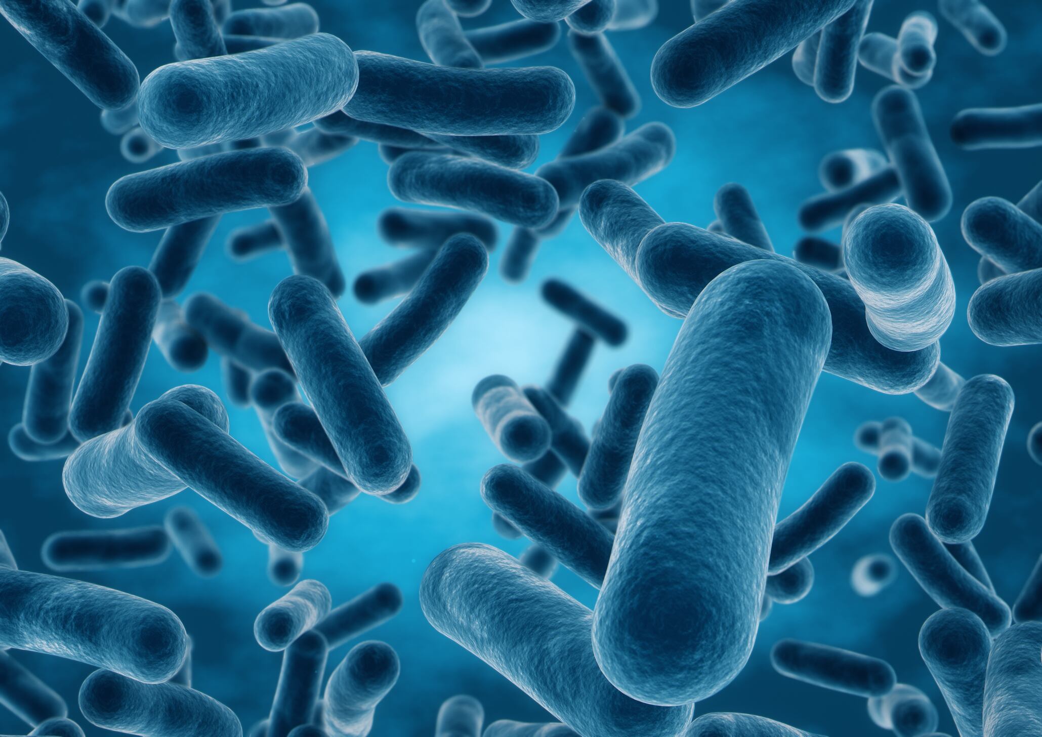 ANVISA-probiotics-in-food-application-RDC-241-2018-guidance.jpg
