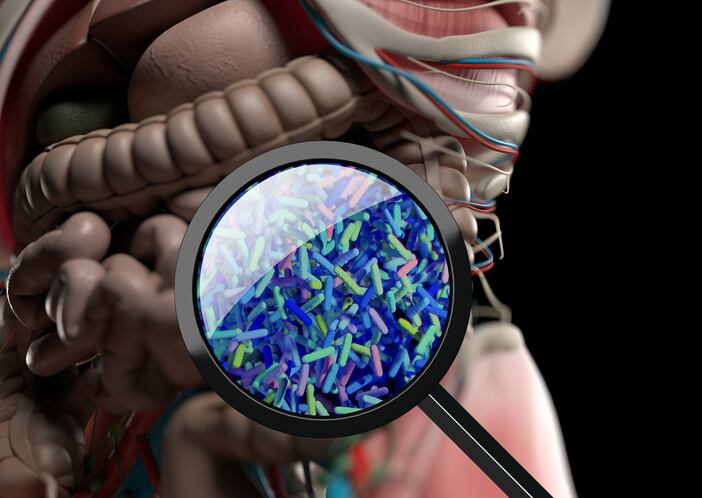 Sorghum cereal and probiotic combination improves gut health in kidney disease patients