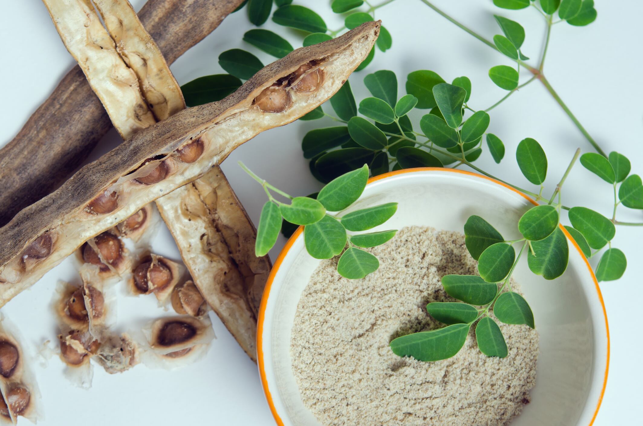 ANVISA bans Moringa oleifera use in foods and capsules
