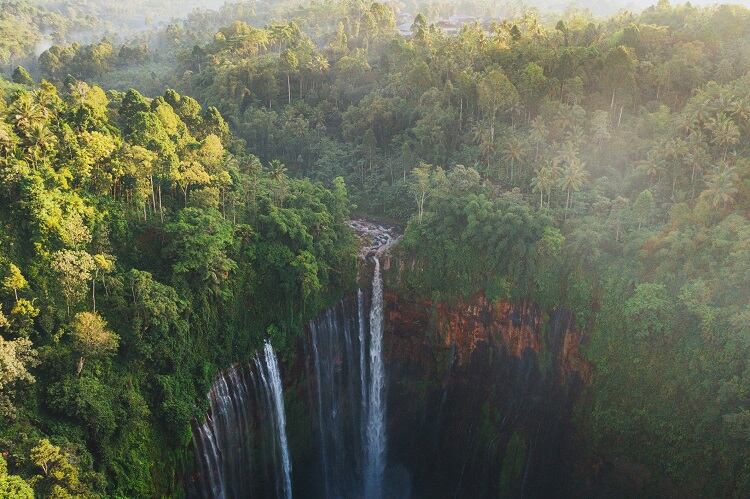Rainforest-GettyImages-Oleh_Slobodeniuk.jpg