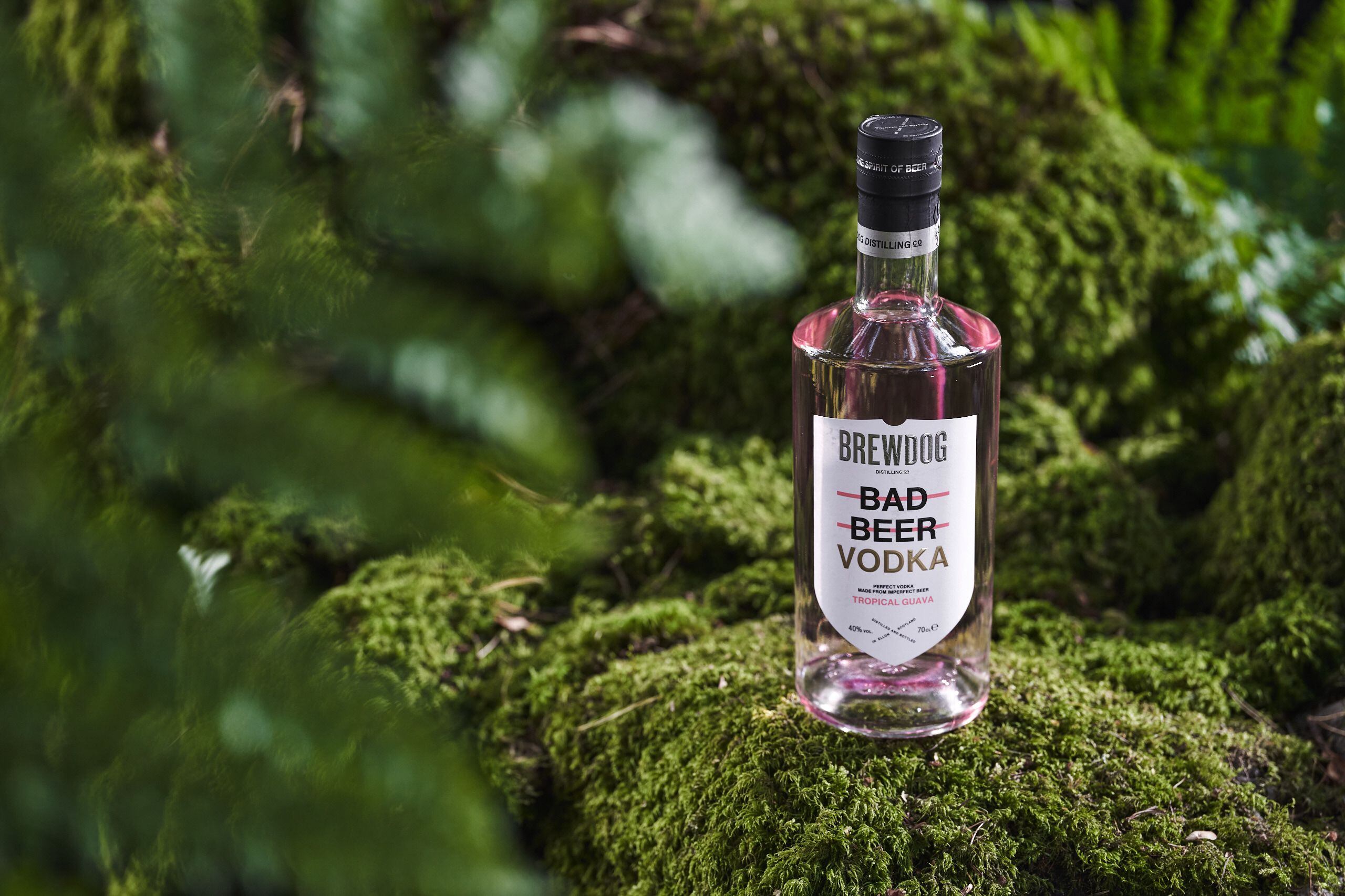 What's hitting the shelves? New beverage launches