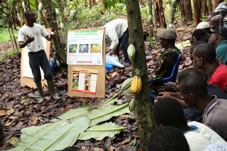 Shift towards private-label chocolate steadies Barry Callebaut's sales