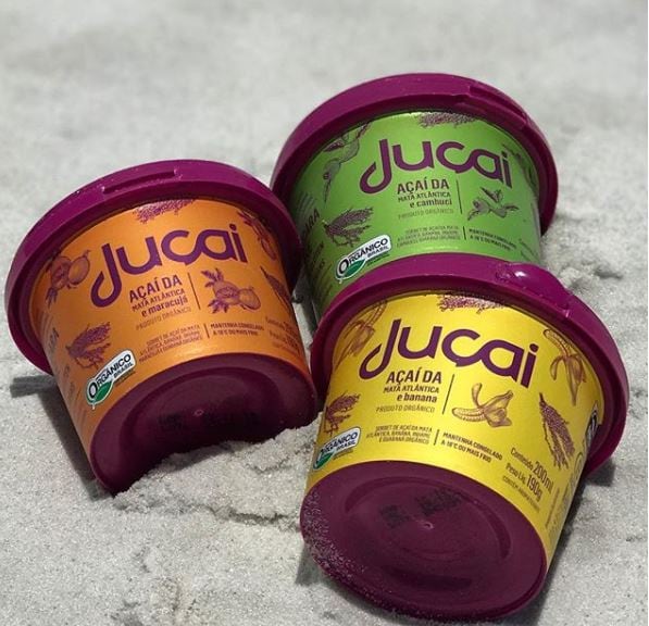 The new açaí? Juçara sorbet has sustainable superfood potential, says Brazilian start-up