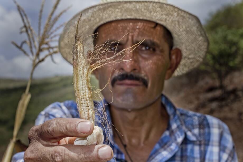 FAO-LATAM: Malnutrition, rural poverty and climate change the 'most important' issues for 2019