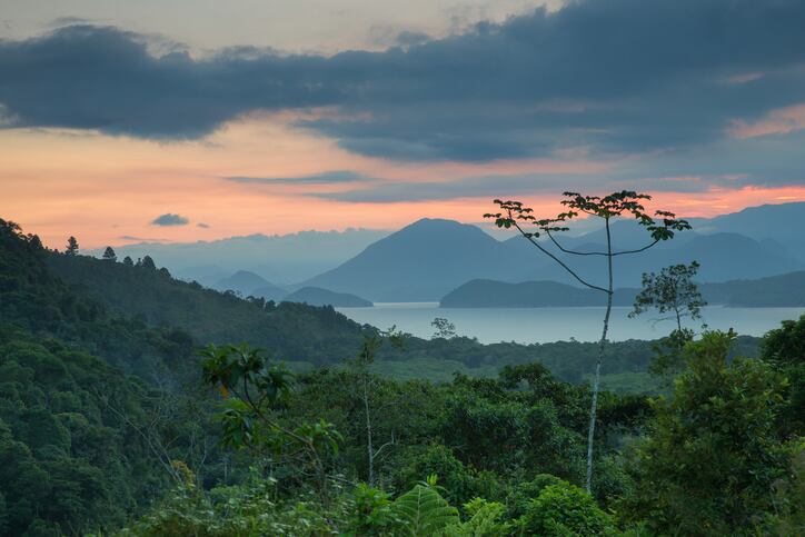 Brazil-Atlantic-rainforest-Bahia-Alex-Saberi.jpg