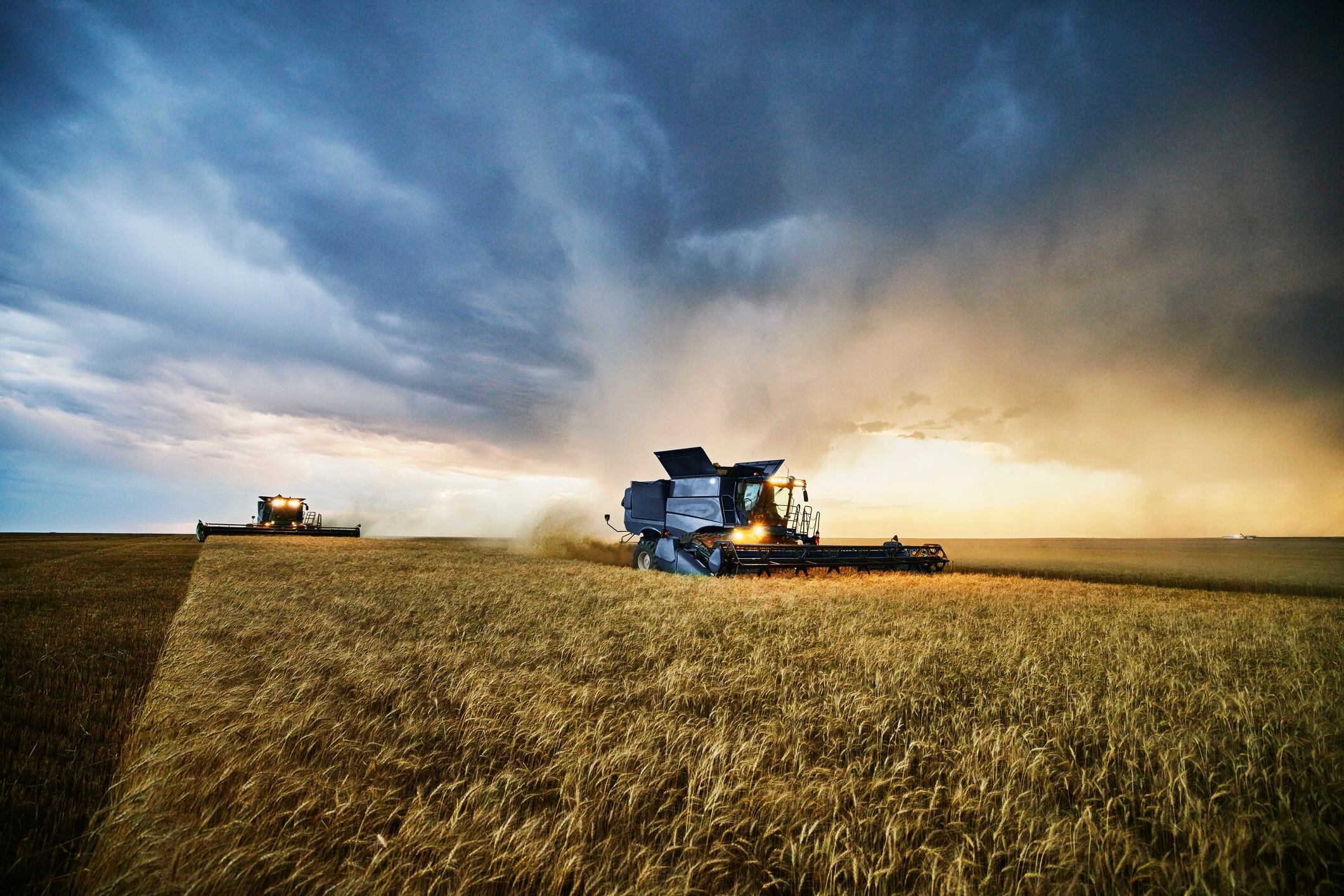 Can AI protect future food security?