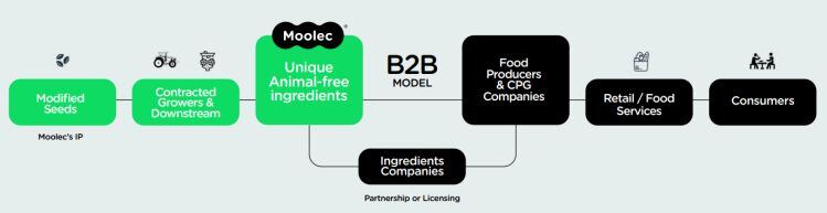 Moolec-biz-model.jpg