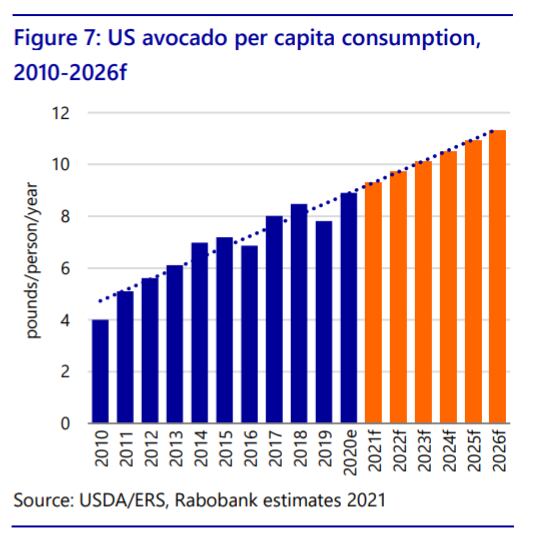 US-Avocado-Consumption-_-Rabobank.png