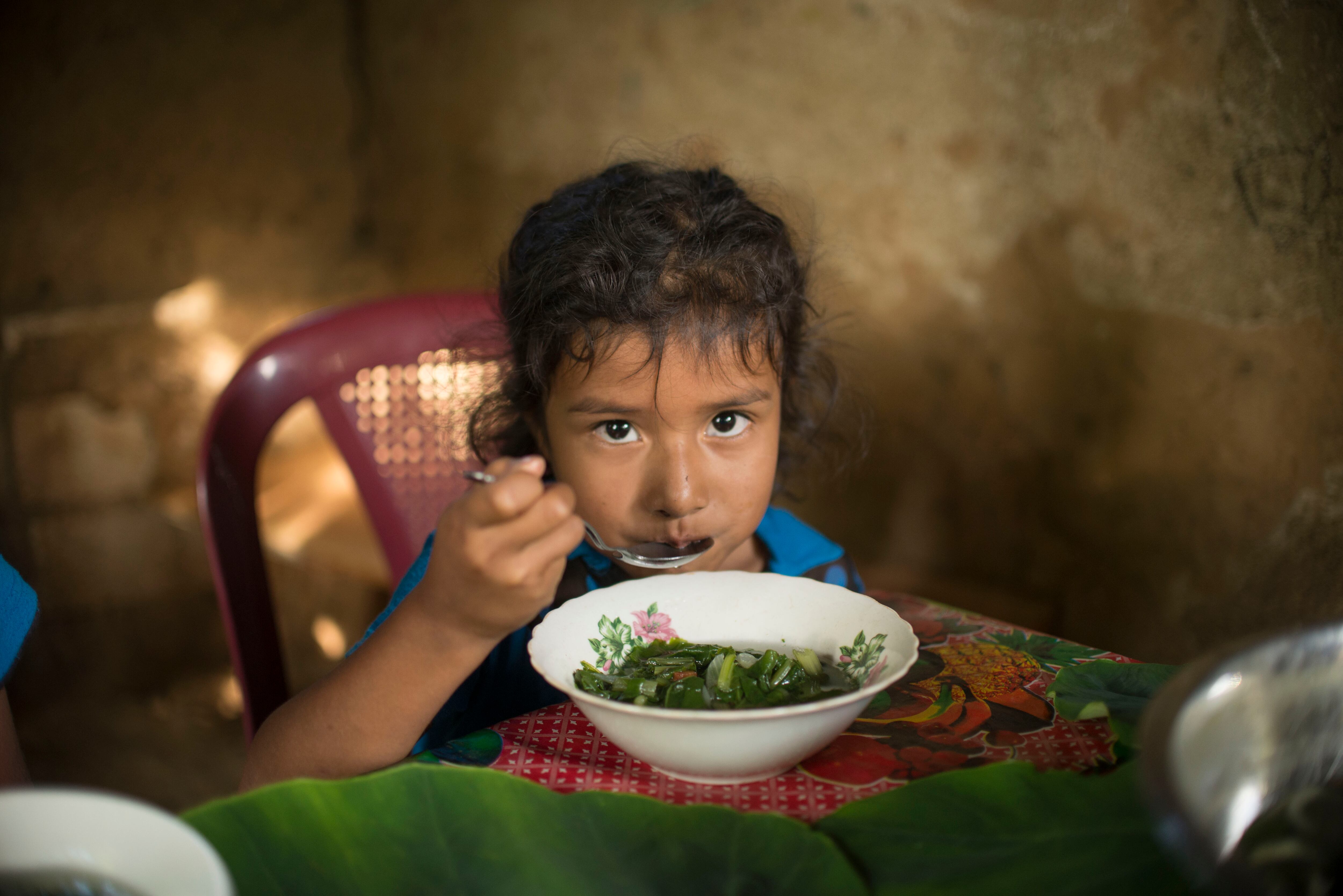UN report: Obesity 'the biggest nutritional threat' in LATAM exacerbated by inequality