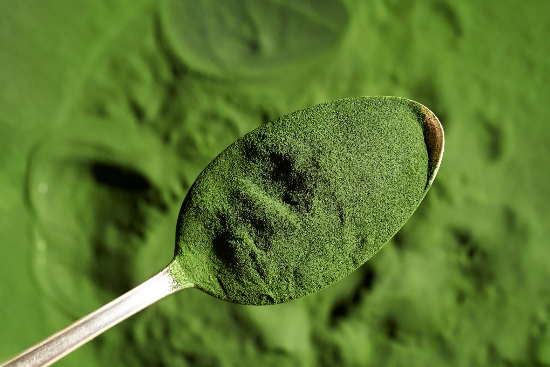 Chlorella powder on a spoon - healthy nutritional supplement.