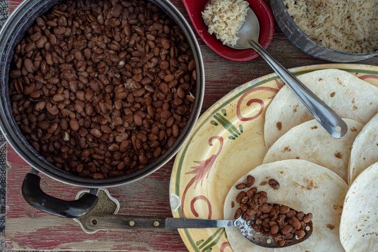 Are tacos gut-friendly? Study unlocks potential functional profile of Mexican staple