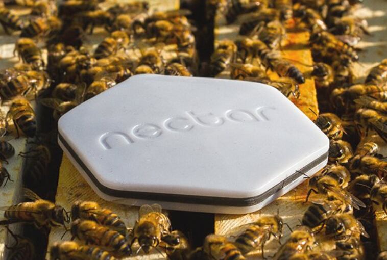 nectar.png