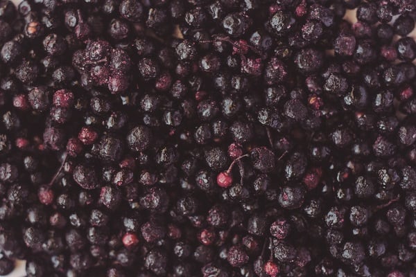Maqui berries: Adding value to Chilean forests, local communities and native superfoods