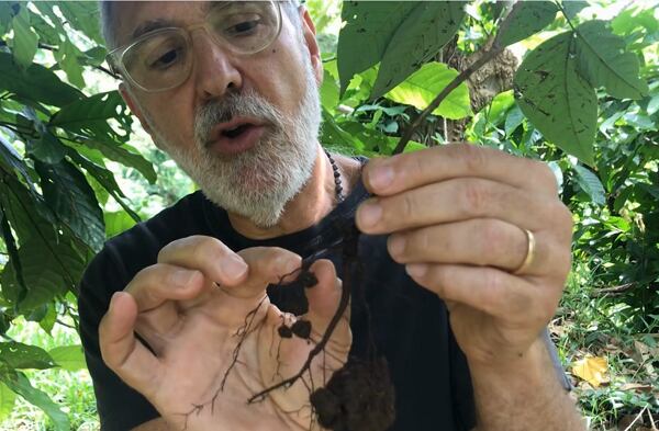 Why soil health is pivotal to producing the highest grade crops