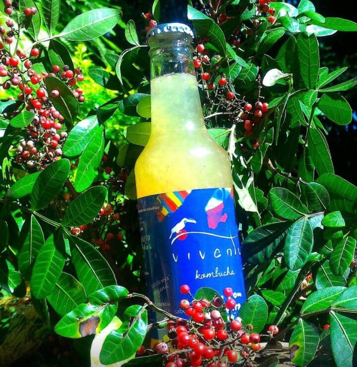 Viventu-Kombucha-Brazil.jpg