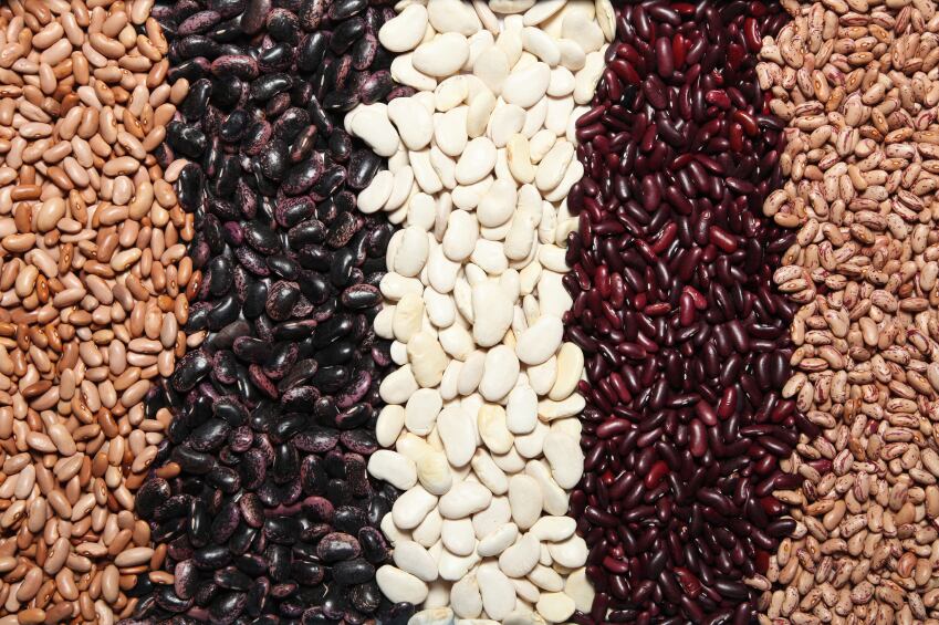 beans-pulses-fibre.jpg