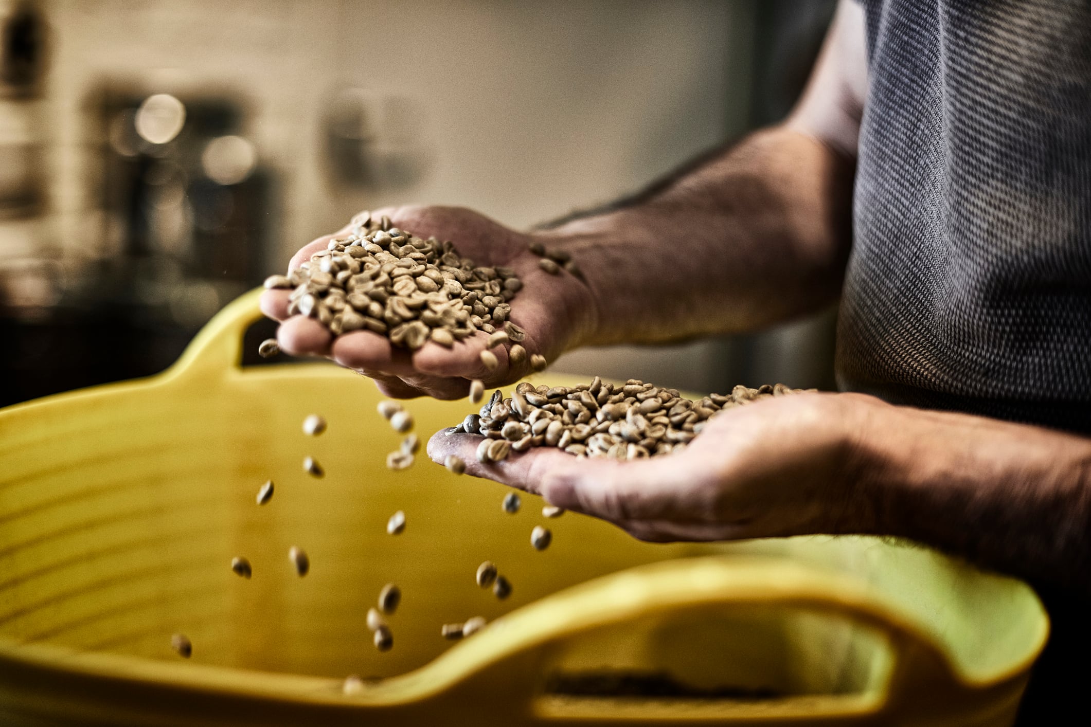 Coffee beans in man's hand in a coffee roastery