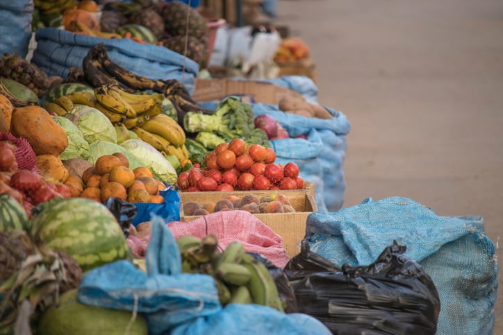 SFS 2019, Costa Rica: How to provide sustainable food for people and the planet? 