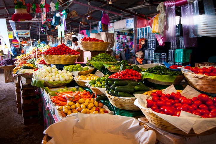 From fermented foods to sustainable sourcing: How industry can help fight the world's vanishing biodiversity 