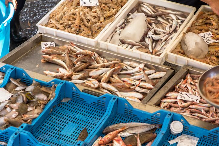 Over one-fifth of fish sold in Buenos Aires province is mislabeled