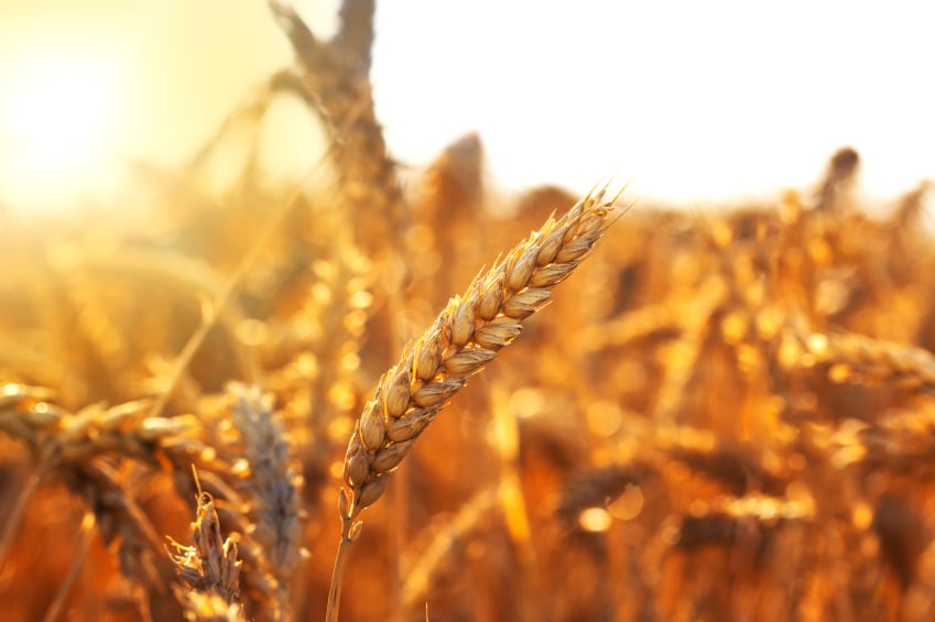 Why it’s time for producers to dig into regenerative agriculture