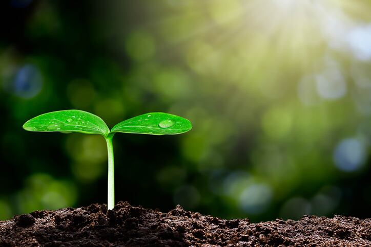 Latin America's food system needs 'biological transformation', says expert