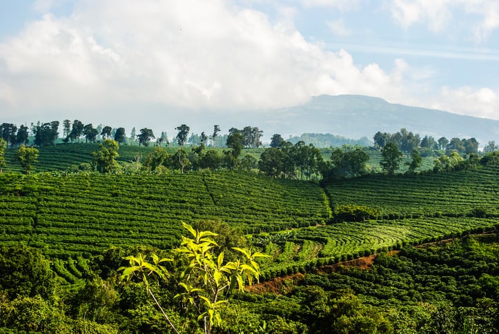 Is the Costa Rican food industry ready for a decarbonized economy?