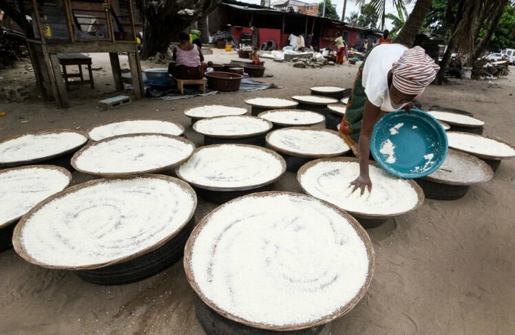 cassava-west-africa-GettyImages-993554174_Sia-Kambou.jpg