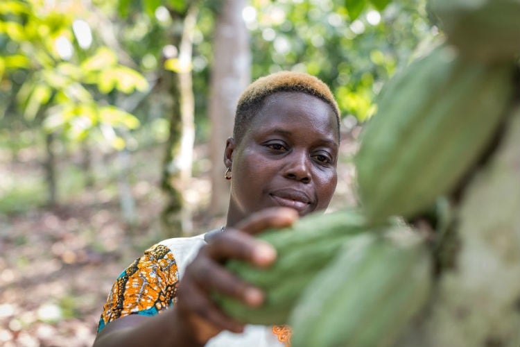Fairtrade Fortnight launches with fresh report on exploitation experienced by women cocoa farmers