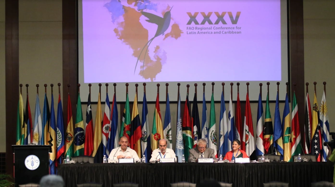 FAO-Conference.jpg