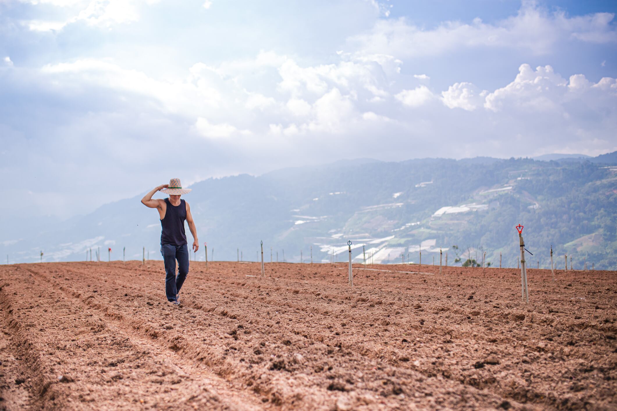 Food industry ‘disaster’ imminent investors warned by insiders