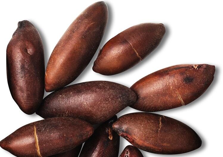 Barùkas takes the baru nut to the US: 'When I tasted it, it was like an epiphany...'