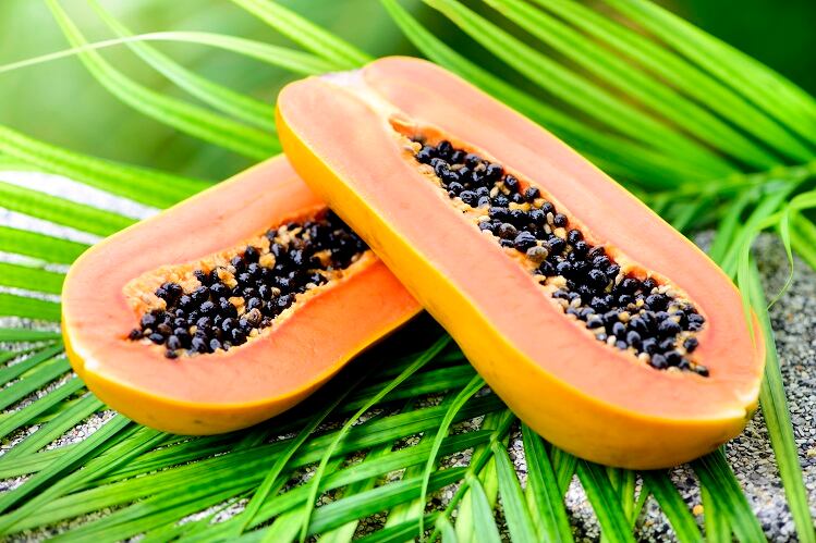 Brazil-study-Papaya-plants-have-nutrient-chemical-profile-benefiting-metabolic-syndrome.jpg
