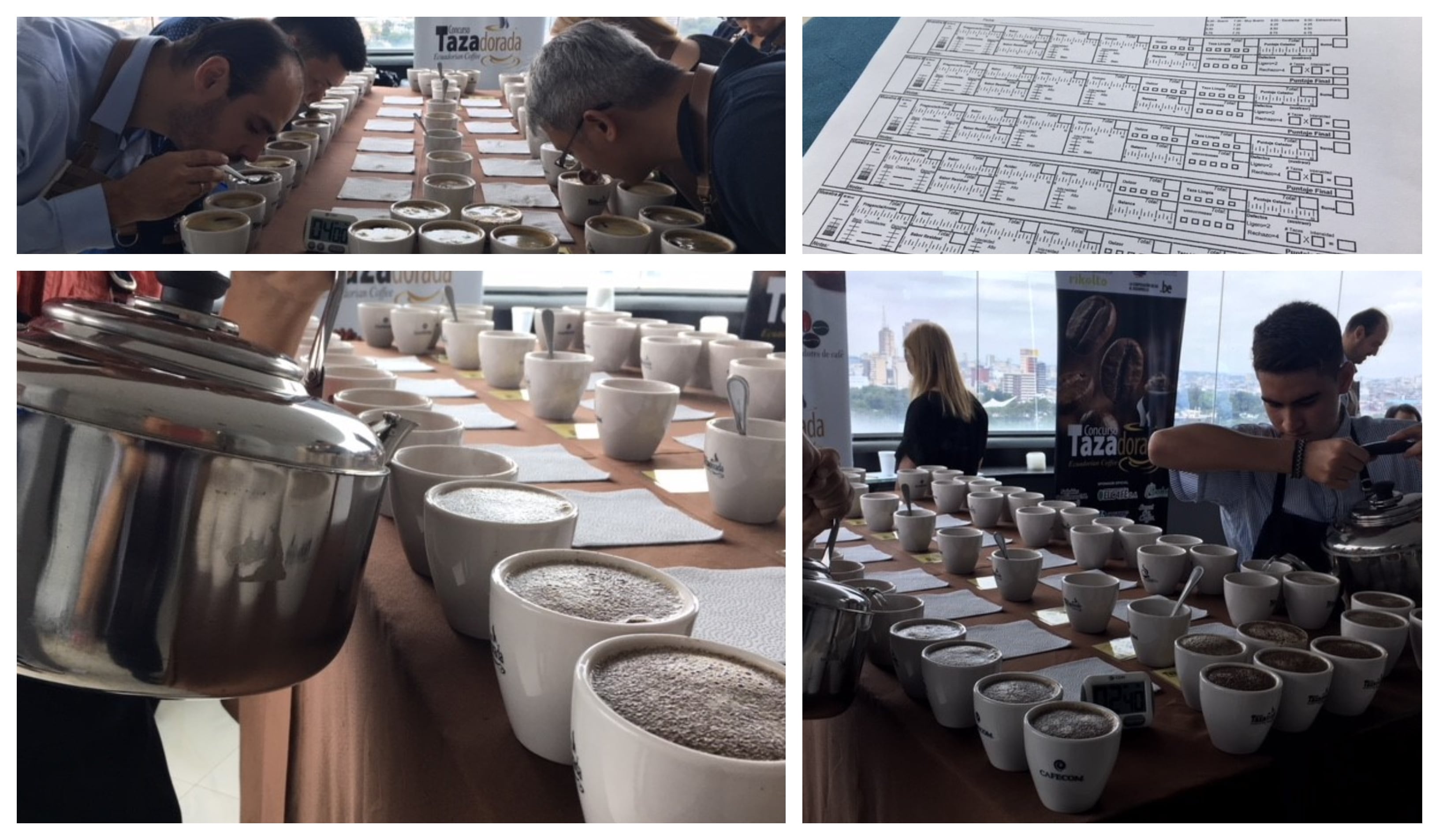 taza-comp.jpg