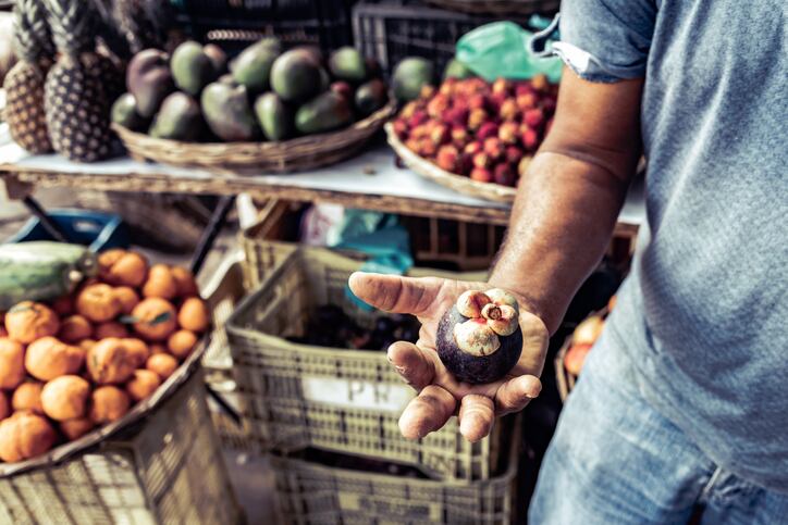 brazilian-farmer-holding-mangosteen-fruit-at-market-golero.jpg