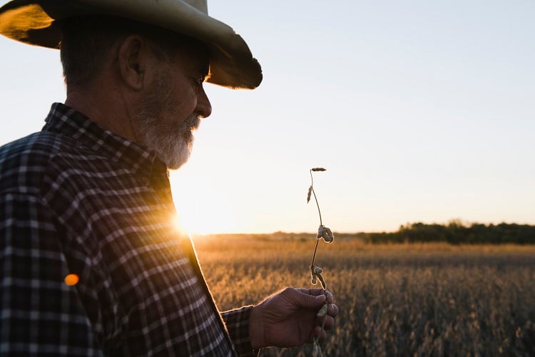 soybean-farmer-Matt-Hoover-Photo.jpg