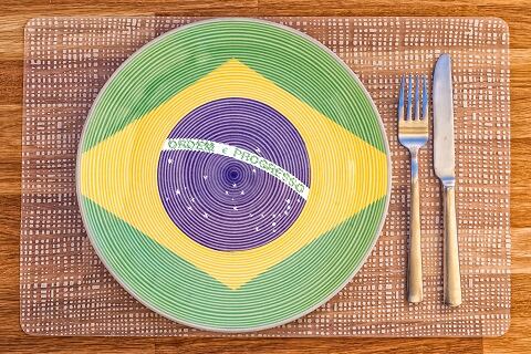 Brazilian politicians try to bring back CONSEA