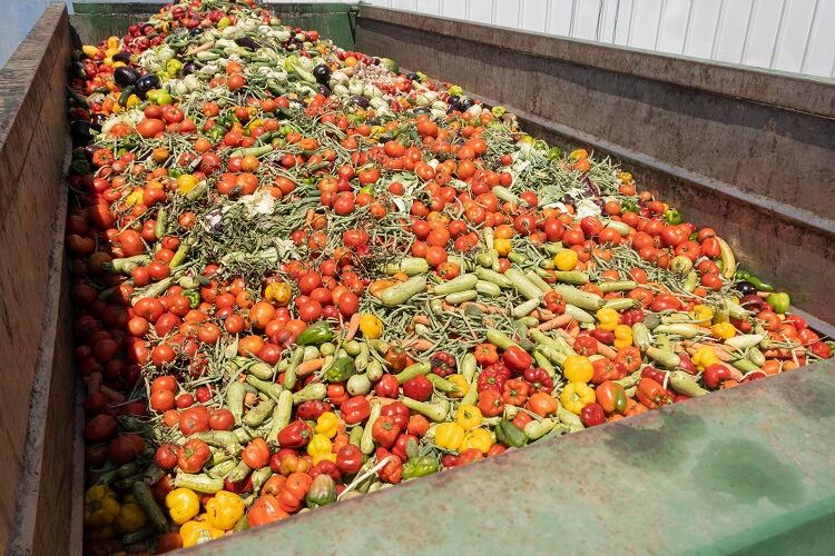 Food-waste-crate-GettyImages-Roman-Mykhalchuk.jpg