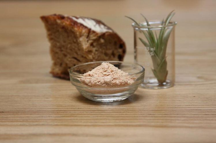  Forget animals, animal cells, and plants, says Air Protein: The most sustainable 'meat' is made from microbes… and thin air 