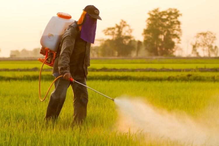 Government survey okays Brazilian produce for pesticide residues