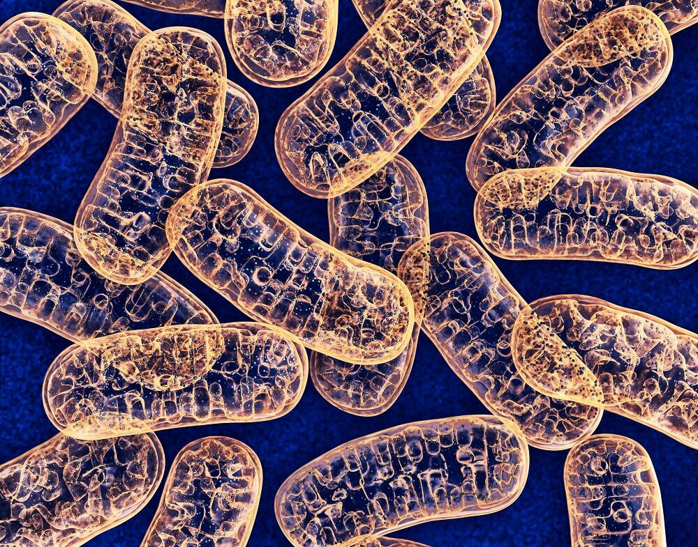 Mitochondria-C-Getty-Images-wir0man.jpg