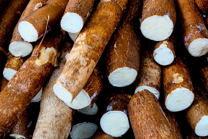 'This is not tapioca!': Whole cassava root flour is ideal for gluten-free baking, says Zaya Flour