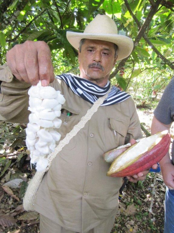 Colombia-cordillera-farmer.jpg