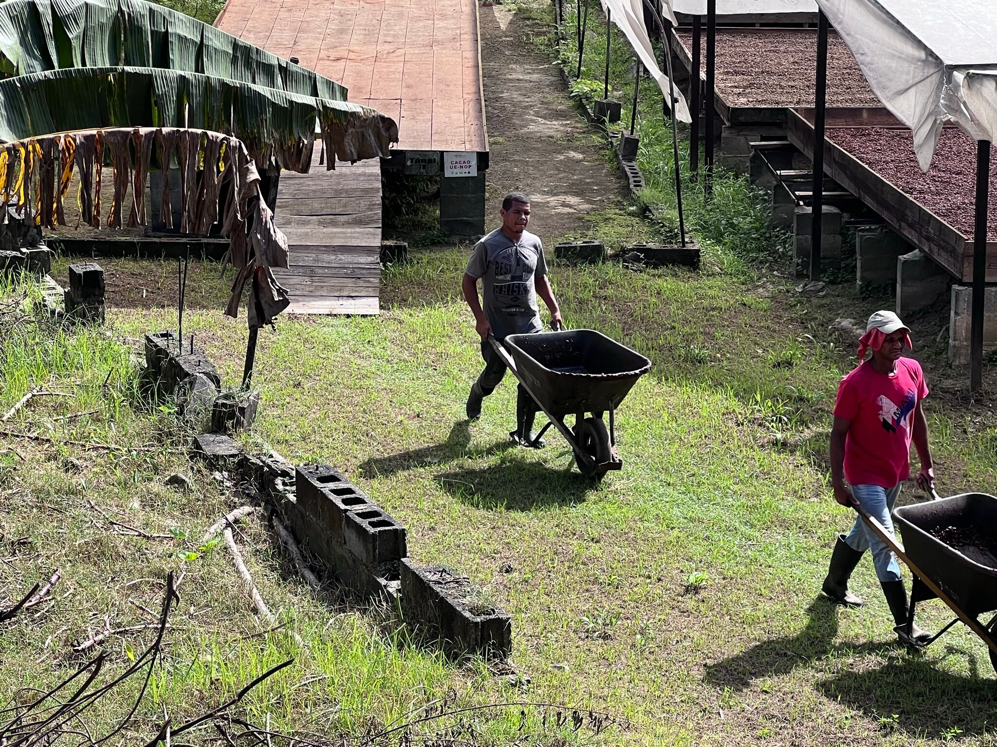 YACAO workers