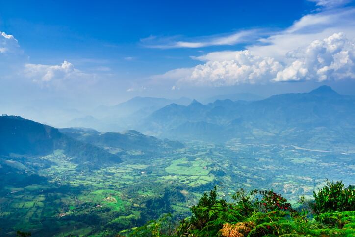 GettyImages-StreetFlash-Las-Nubes-Colombia-plantation.jpg