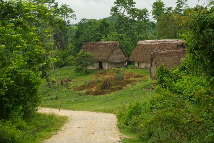 Seeds of success: Belize farmers show agroecology can combat climate change